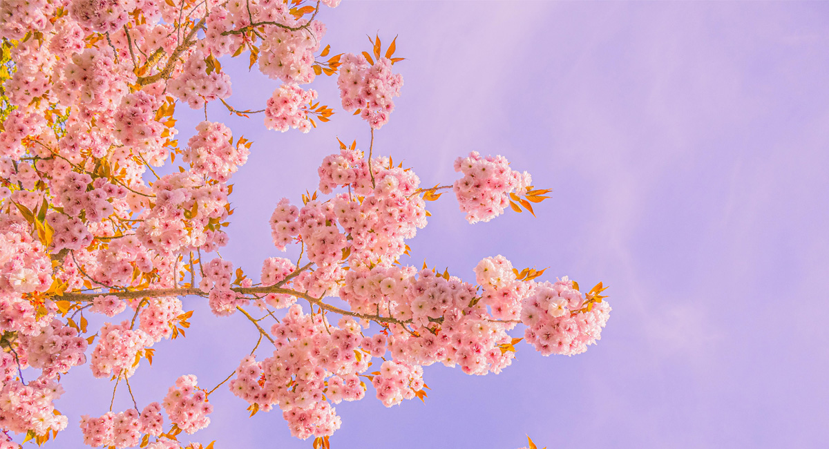 Tips for Managing Stress Effectively